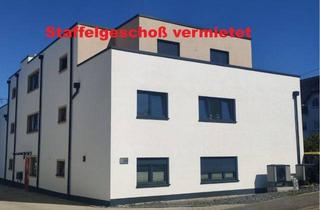 Penthouse mieten in 56220 Kettig, Staffelgeschoßwohnung in Kettig zu vermieten.