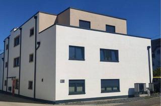 Penthouse mieten in 56220 Kettig, Staffelgeschoßwohnung in Kettig zu vermieten.