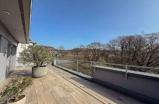 Penthouse kaufen in 53424 Remagen, High-End-Penthouse mit Rheinpanorama und unverbaubarem Blick ins Naturschutzgebiet und Ahrmün