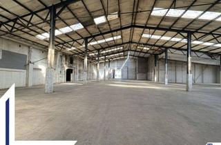 Geschäftslokal mieten in 24539 Neumünster, Teilbare Lagerflächen für Handel und Produktion in 24539 Neumünster | Lütt Immobilien Kiel