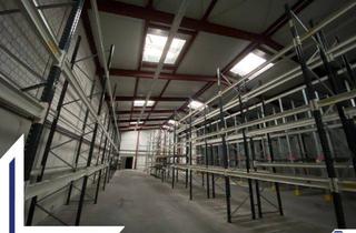Geschäftslokal mieten in 24143 Kiel, Lagerhalle mit Hochregalen zum Mieten in 24143 Kiel | Lütt Immobilien Kiel
