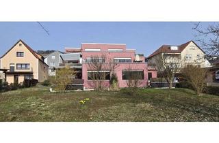 Wohnung kaufen in 74235 Erlenbach, Sonnige 3-Zimmer-Wohnung mit Terrasse und toller Aussicht in Erlenbach