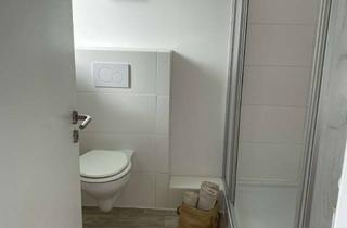 Wohnung mieten in Ernst-Ludwig-Straße, 55597 Wöllstein, 1-Zimmer Wohnung mit gehobener Ausstattung in Wöllstein