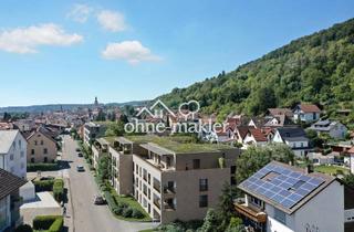 Wohnung mieten in 79761 Waldshut-Tiengen, Exklusive Neubau-Mietwohnungen - B01, B02