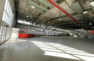 Büro zu mieten in 19230 Hagenow, attraktive, flexibel nutzbare Hallenfläche zu vermieten