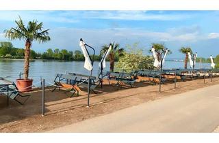 Gewerbeimmobilie mieten in Rheinpromenade 46, 67575 Eich, Kleine Kneipe am Eicher See