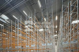 Gewerbeimmobilie mieten in 78658 Zimmern, Hallenflächen mit großzügiger Frei- und Außenfläche - INDUSTRIAL PARTNERS