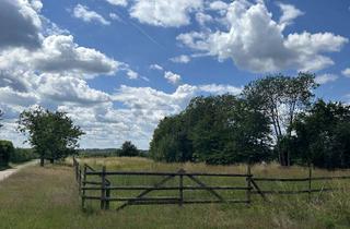 Grundstück zu kaufen in 21723 Hollern-Twielenfleth, Baugrundstück im Alten Land - Obstbaumblüten im Mai