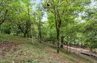 Grundstück zu kaufen in 73760 Ostfildern, Wenn die Natur erwacht, wartet Ihre Freiheit: Ihr 1.785 m² Südhang-Paradies für Selbstversorger