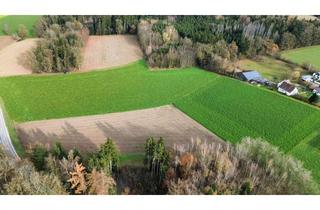 Grundstück zu kaufen in 94152 Neuhaus, Attraktives Ackerland in guter Lage in Eglsee