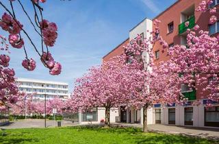 Büro zu mieten in Hellersdorfer Promenade 32, 12627 Hellersdorf, Bürofläche auf der Hellersdorfer Promenade zwischen Kaufpark Eiche und Helle Mitte
