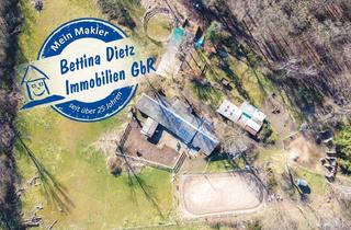 Immobilie mieten in 63500 Seligenstadt, DIETZ: Reitgelände mit Stallungen für 13 Pferdeboxen auf 1,5 ha zu vermieten! Nur 20 Min von FFM!