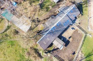 Immobilie mieten in 63500 Seligenstadt, DIETZ: Reitgelände mit Stallungen für 13 Pferdeboxen auf 1,5 ha zu vermieten! Nur 20 Min von FFM!