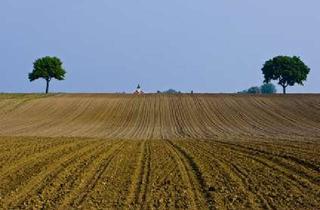 Immobilie kaufen in 88471 Laupheim, ca. 25 ha Ackerland - ein Schlag -