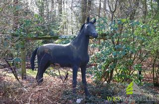 Haus kaufen in 49536 Lienen, Pferdezüchter aufgepaßt!