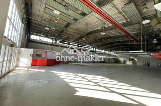 Büro zu mieten in 19230 Hagenow, attraktive, flexibel nutzbare Hallenfläche zu vermieten