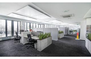 Büro zu mieten in Walther-Von-Cronberg-Platz, 60599 Frankfurt, Tischinsel in kreativer Bürogemeinschaft mit Potenzial für Synergien