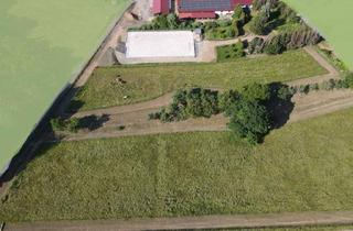 Haus kaufen in Gerichtstetter Straße 72, 74736 Hardheim, Hardheim - Wohnhaus (3 WE) mit OffenBoxen-StallPaddock Trail, Reitplatz, Werkstatthalle, Photovoltaik - SOFORT bezugsfertig