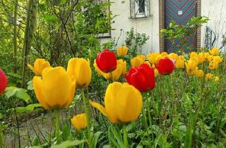 Doppelhaushälfte kaufen in 38239 Salzgitter, Salzgitter - Schöne Doppelhaushälfte mit Potential in Thiede mit großem Gart