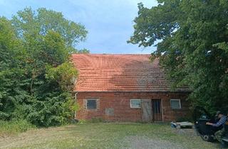 Haus kaufen in 19374 Domsühl, Domsühl - sanierungsbedürftiges EFH in Zölkow Meck.-Pom., Aussengelände