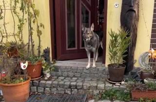 Haus kaufen in 23992 Neukloster, Neukloster - Haus zu verkaufen in Nordwestmecklenburg
