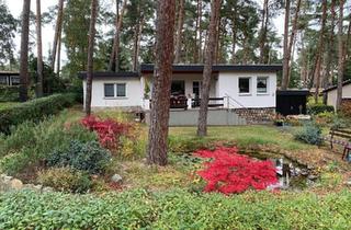 Haus kaufen in 39217 Schönebeck, Schönebeck (Elbe) - Schöner Bungalow auf großem Grundstück in gefragter Lage