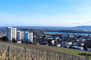 Wohnung kaufen in 65366 Geisenheim, Sanierte, möblierte 1-Zimmer Eigentumswohnung mit Balkon in Geisenheim