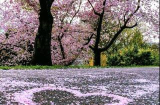 Wohnung mieten in 32052 Herford, Luxusetage mit Wasserblick: 200 m² Altbau-Eleganz trifft High-End-Design