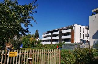 Wohnung mieten in 88630 Pfullendorf, Neuwertige, helle 3-Zimmer-Wohnung mit Balkon am Rand der Altstadt