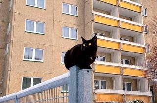 Wohnung mieten in Ernst-Thälmann-Str., 04571 Rötha, Willkommen in Ihrem neuen Zuhause - 2 Raum Wohnung