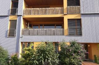 Wohnung mieten in Doktor-Hans-Müller-Ring 15, 85276 Pfaffenhofen, Im eco quartier eine moderne und exklusive 2,5-Zimmer Wohnung mit Balkon in Pfaffenhofen a.d. Ilm