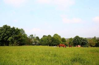 Wohnung mieten in Lehbreite 24, 06311 Helbra, Gemütliche 2-Raumwohnung im Erdgeschoss mit Dusche