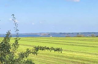 Haus kaufen in 23968 Zierow, Neuwertiges gemütliches Häuschen mit unverbautem Ostseeblick