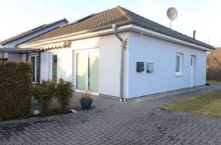 Haus mieten in 29308 Winsen, Gepflegte Bungalowhälfte mit 3 Zimmern in Winsen (Aller)