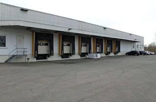 Büro zu mieten in 71083 Herrenberg, Vermietung eines Gewerbeobjektes mit modernen Produktions-/ Lagerflächen und Bürogebäude