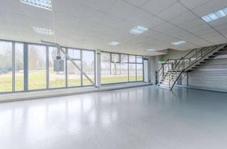 Gewerbeimmobilie kaufen in 74321 Bietigheim-Bissingen, Freistehende zweigeschossige Gewerbehalle in sehr gutem Zustand!