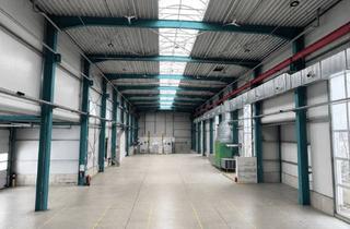 Büro zu mieten in Fluchtstraße 40-44, 32105 Bad Salzuflen, Hochregallagerhalle mit Bürofläche, 12 m Deckenhöhe & LKW-Rampe in Bad Salzuflen - nahe A2