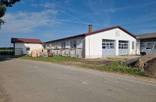 Gewerbeimmobilie mieten in Bahnhofstr. 16, 87778 Stetten, Renovierte Gewerbehalle in Stetten