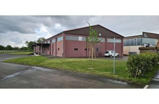 Gewerbeimmobilie mieten in 77749 Hohberg, Gewerbe-/ Logistikhalle 400 m2 zu vermieten