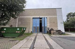 Gewerbeimmobilie mieten in Kablower Weg 91, 12526 Bohnsdorf, Lagerfläche – 125m² zu vermieten - WC/Strom vorhanden