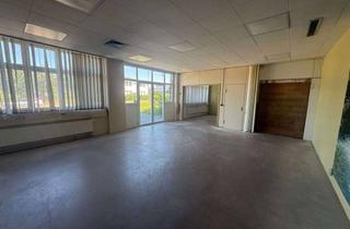 Büro zu mieten in 79206 Breisach, Vielseitige Gewerbeimmobilie: Lager, Büro und Werkstatt kombinierbar