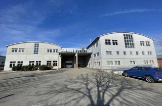 Gewerbeimmobilie mieten in Egelseestr. 13, 93354 Siegenburg, Gewerbehalle mit guter Anbindung im Raum Siegenburg