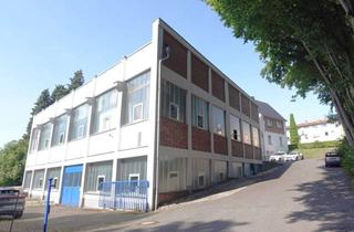 Gewerbeimmobilie kaufen in 42781 Haan, EBENERDIG ANFAHRBARE PRODUKTIONS- UND LAGERHALLEN + BÜROFLÄCHEN! (P9250)