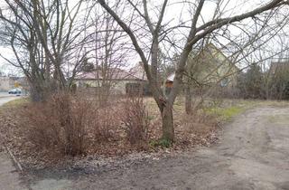 Grundstück zu kaufen in 15890 Eisenhüttenstadt, Baugrundstück zentral Alt- Fürstenberg