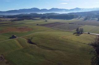 Grundstück zu kaufen in 82387 Antdorf, Großes, landwirtschaftliches Grundstück mit vielseitigen Nutzungsmöglichkeiten in Traumlage!