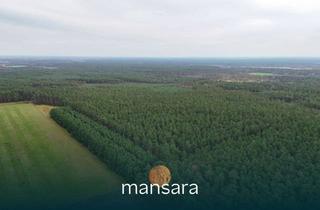 Grundstück zu kaufen in Dieksweg 24, 29308 Winsen, Arrondierter Wald- und Jagdbetrieb mit nachhaltigem Entwicklungspotenzial!