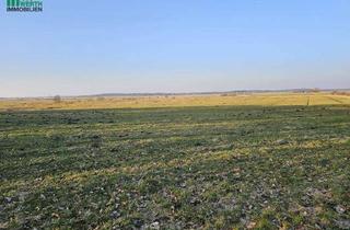 Immobilie kaufen in 25729 Windbergen, Landwirtschaftsfläche, genutzt als Grünland, verpachtet von April bis April