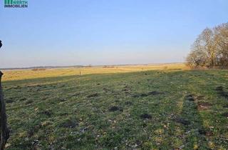 Immobilie kaufen in 25729 Windbergen, Grünland, noch ohne Ökopunkte, aber theoretisch machbar, spätere Ausgleichsfläche?