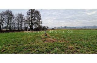 Gewerbeimmobilie kaufen in 94137 Bayerbach, Landwirtschaftliche Wiesenfläche - Bayerbach