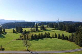 Gewerbeimmobilie kaufen in 82387 Antdorf, Freiraum in der Natur: Landwirtschaftsgrundstück mit Hütte und Bergblick!